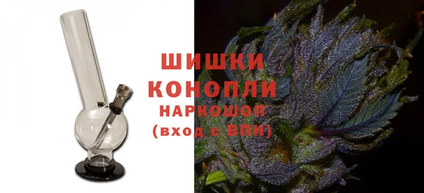 шишки Аркадак