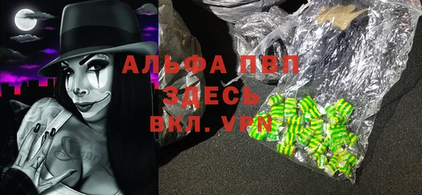 шишки Аркадак