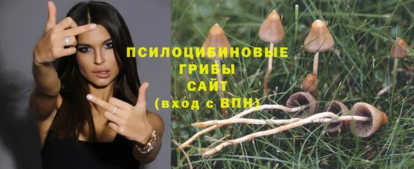 ALPHA-PVP Арсеньев