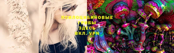 шишки Аркадак