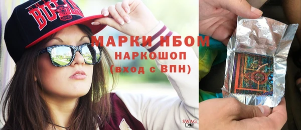 шишки Аркадак