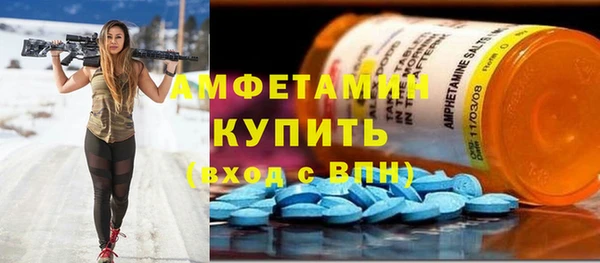 шишки Аркадак