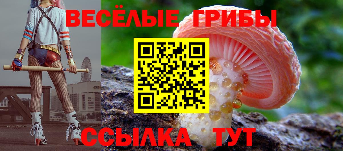 Галлюциногенные грибы мухоморы Дмитров