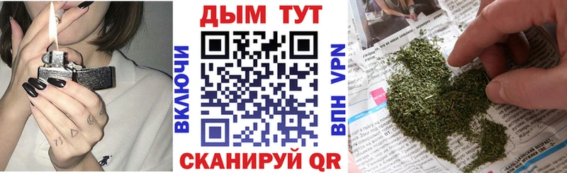 MEGA как войти  Дмитров  Бошки марихуана семена 